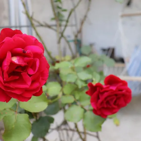 Apartman Ney-ney Mostar