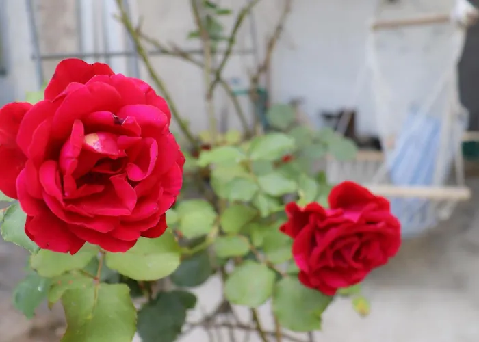 アパート Ney-ney モスタル